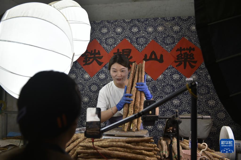 三牛域名登录